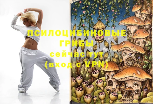 spice Алексеевка