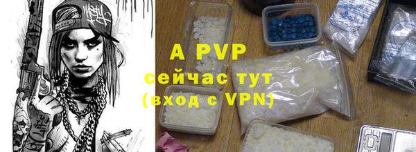 a pvp Абаза