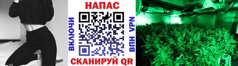 Марихуана Ganja Тавда